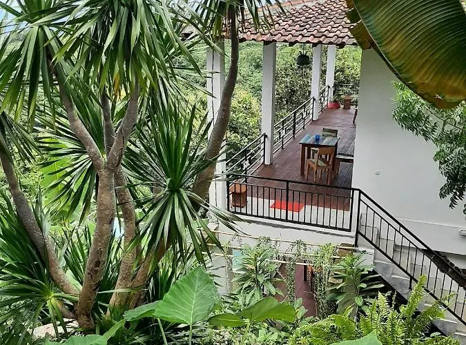 Liri - Ocean, Hills, Valley View Villa Lovina